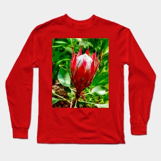 The King Protea Long Sleeve T-Shirt